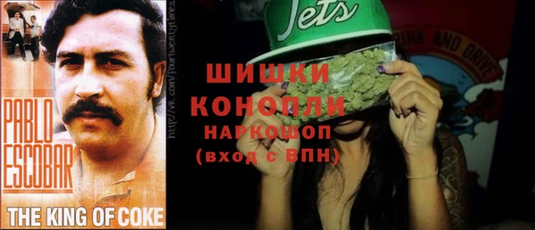 spice Арсеньев