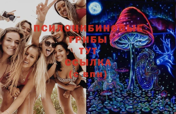 соль ск Аркадак