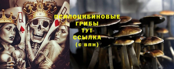 соль ск Аркадак