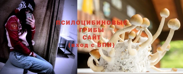 соль ск Аркадак